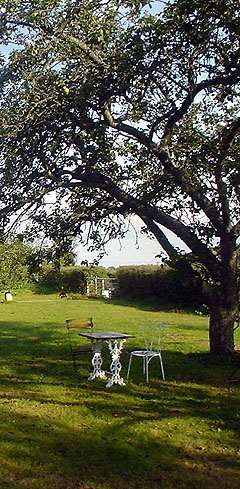 Ms Cooper's garden