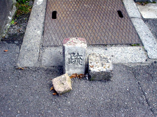 根の国