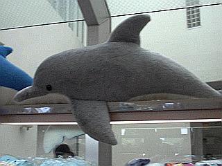 おっきなドリー