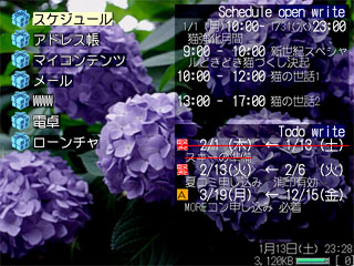 紫陽花 WDWWIMG0.JPG