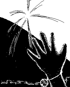 空に咲く花