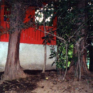 裏手