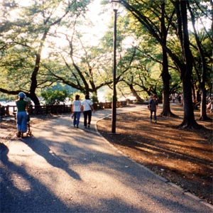 井の頭池周遊